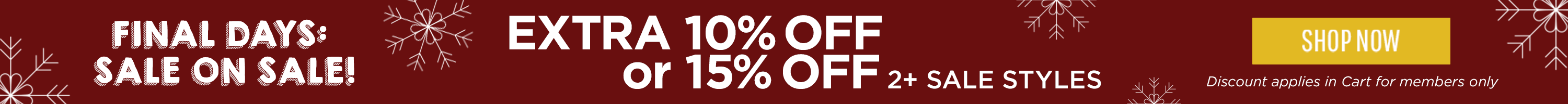 Winter Sale Skinny Banner UPGRADE North/UK